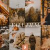 Fall Film Lightroom Presets 2